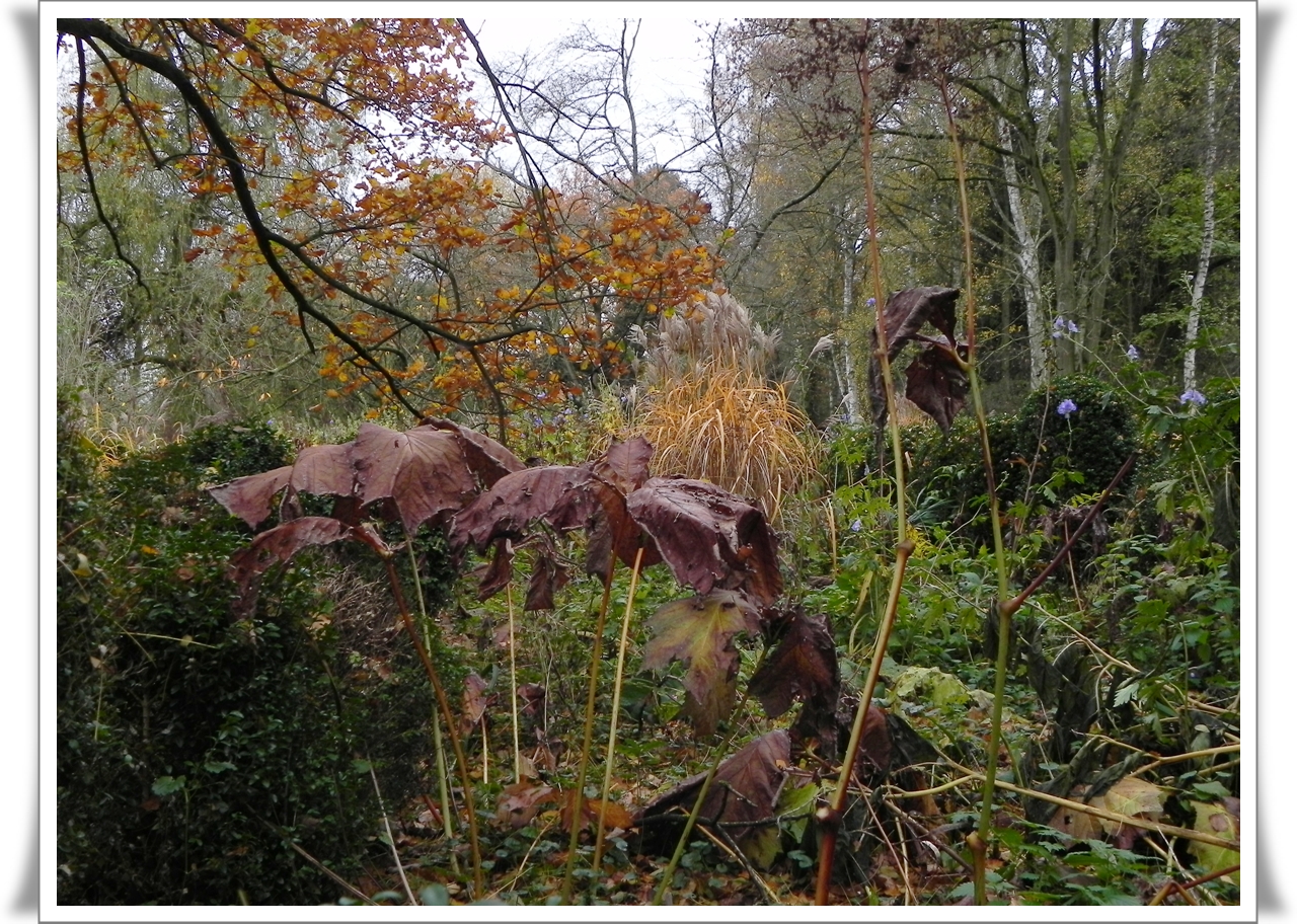 Herbstimpressionen