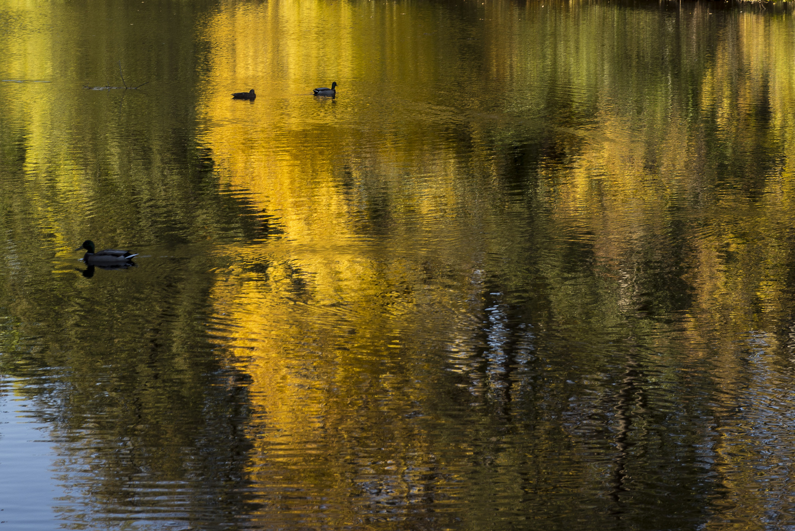 HERBSTIMPRESSIONEN