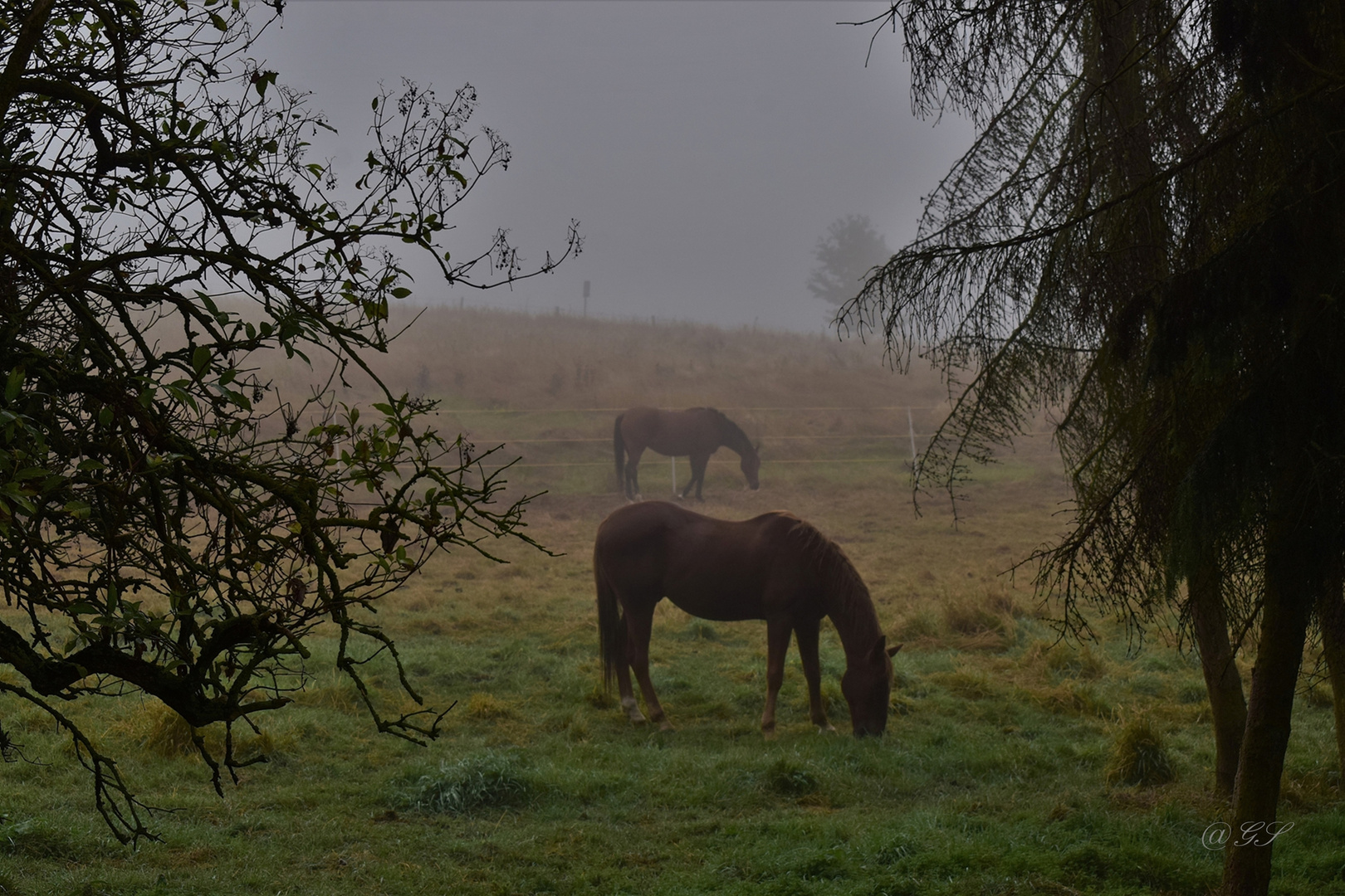 Herbstimpressionen