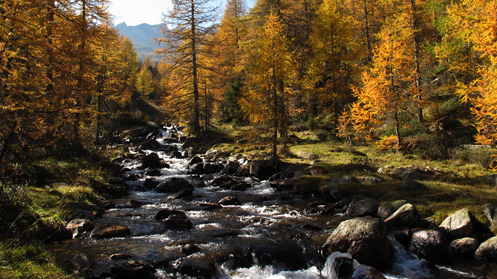 Herbstimpressionen