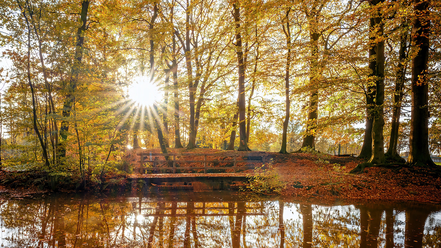 Herbstimpressionen