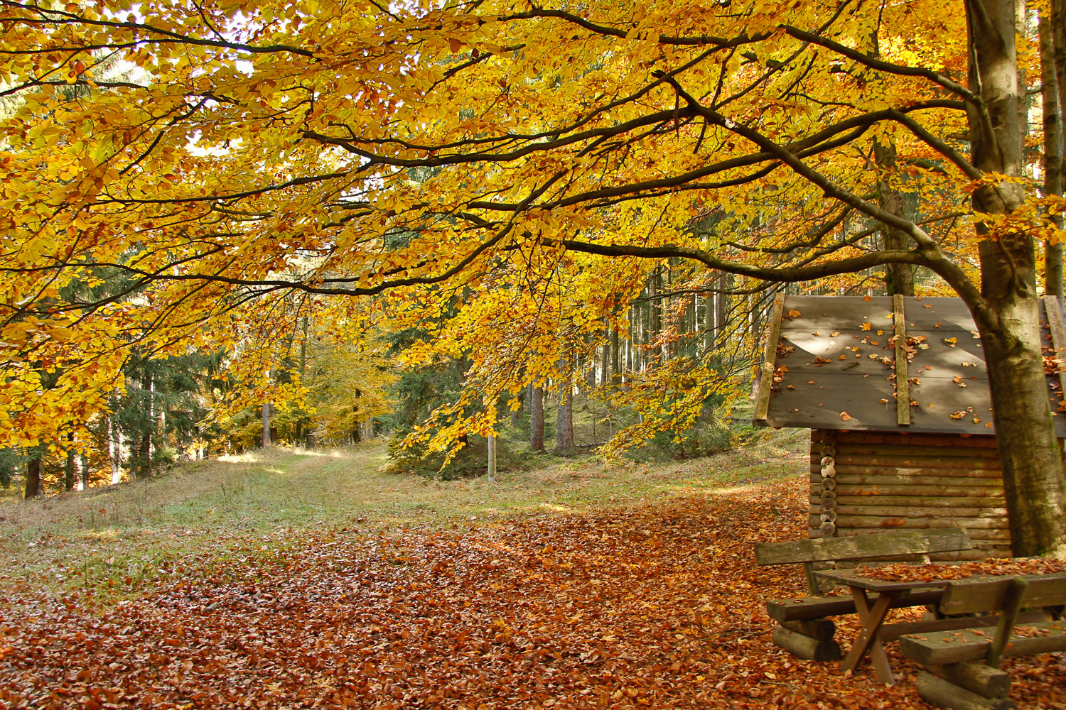 Herbstimpressionen