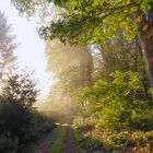 Herbstimpressionen