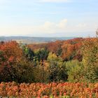 Herbstimpressionen