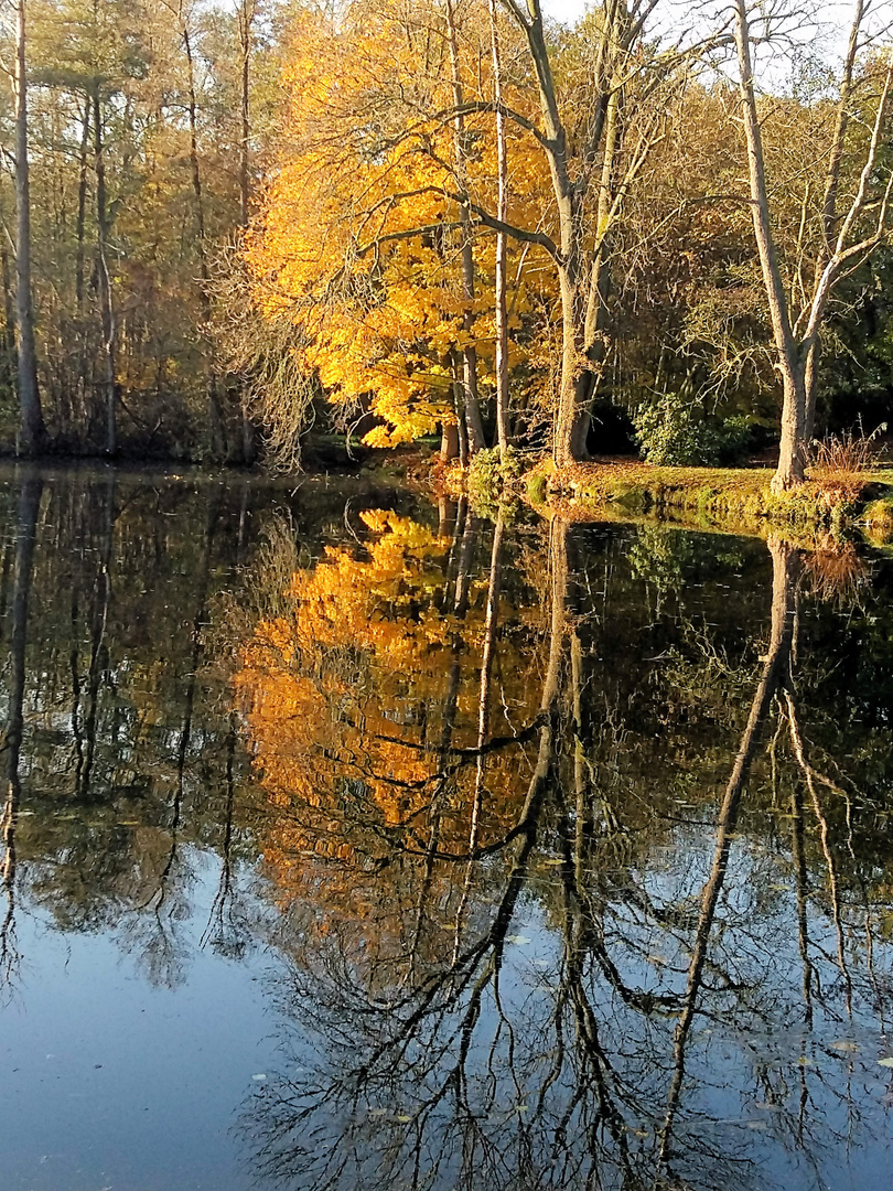 Herbstimpressionen