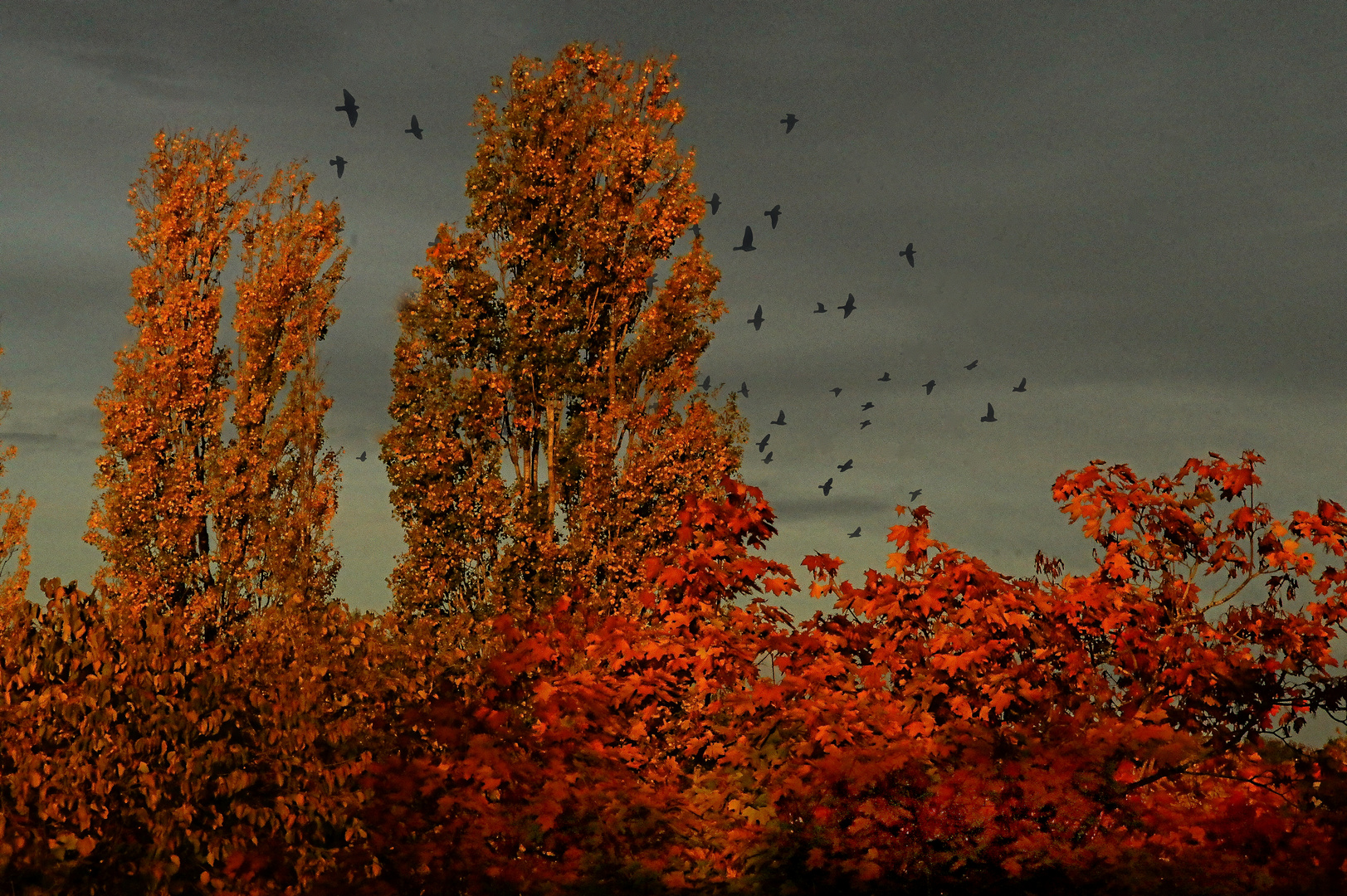 Herbstimpressionen