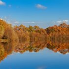 Herbstimpressionen