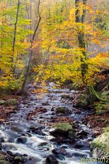 Herbstimpressionen