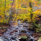 Herbstimpressionen