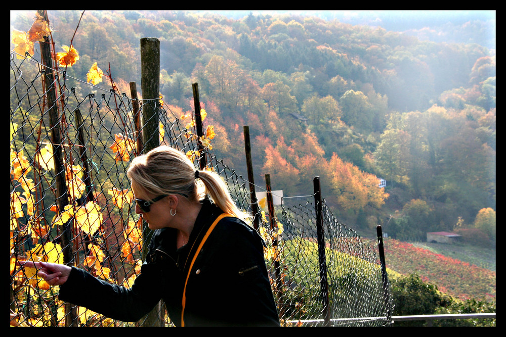 Herbstimpressionen