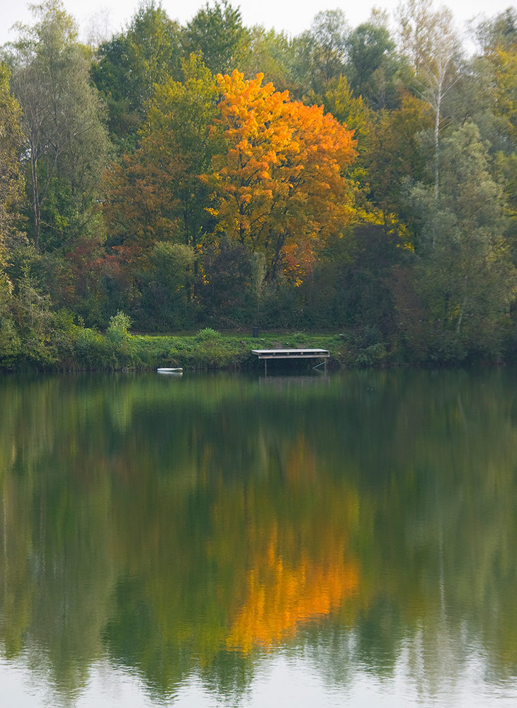 Herbstimpressionen I