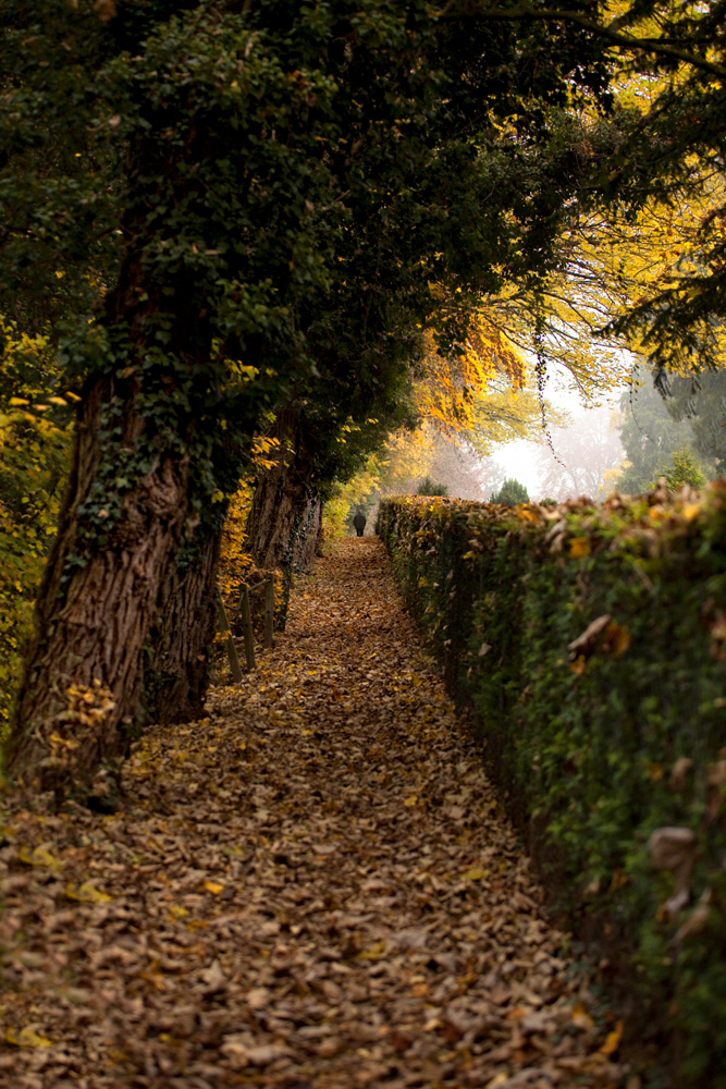 Herbstimpressionen-I