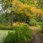 Herbstimpressionen I - Berggarten/Hannover