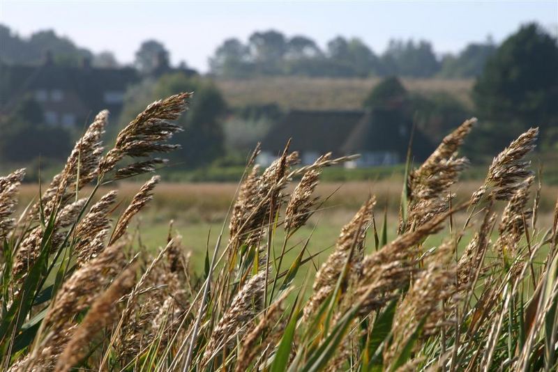 Herbstimpressionen I