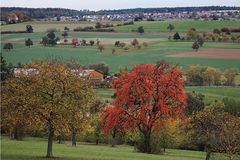 Herbstimpressionen I