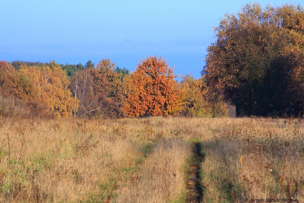 Herbstimpressionen II