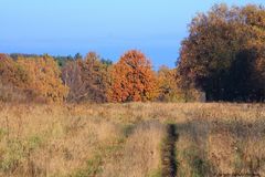 Herbstimpressionen II