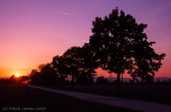 Herbstimpressionen II