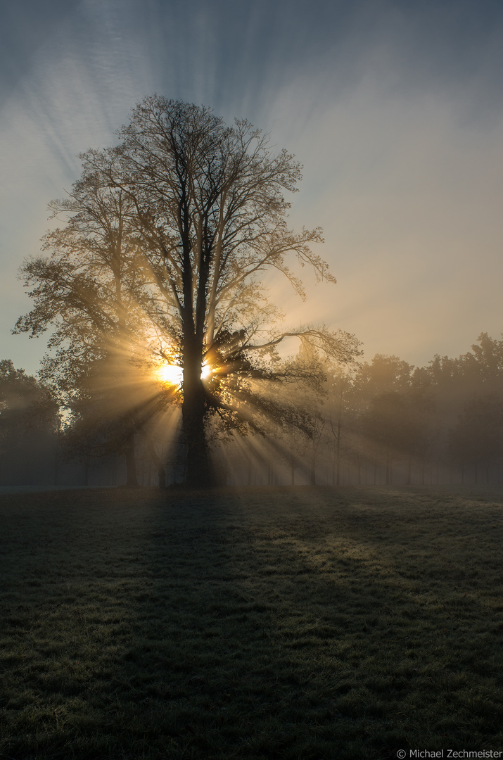 Herbstimpressionen II