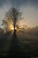 Herbstimpressionen II