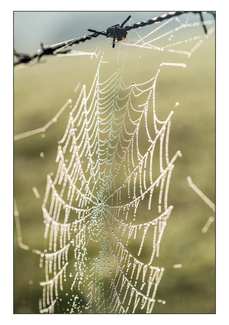 Herbstimpressionen III