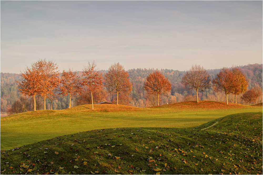 :: ~ Herbstimpressionen  III ~ :