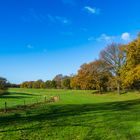 Herbstimpressionen im Münsterland 2017 (1) 