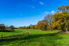 Herbstimpressionen im Münsterland 2017 (1) 