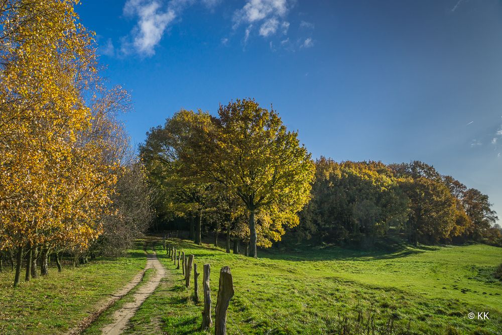 Herbstimpressionen im Münsterland 2017 (2)