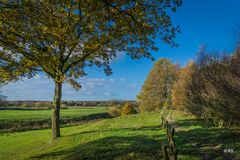 Herbstimpressionen im Münsterland 2017 (3)