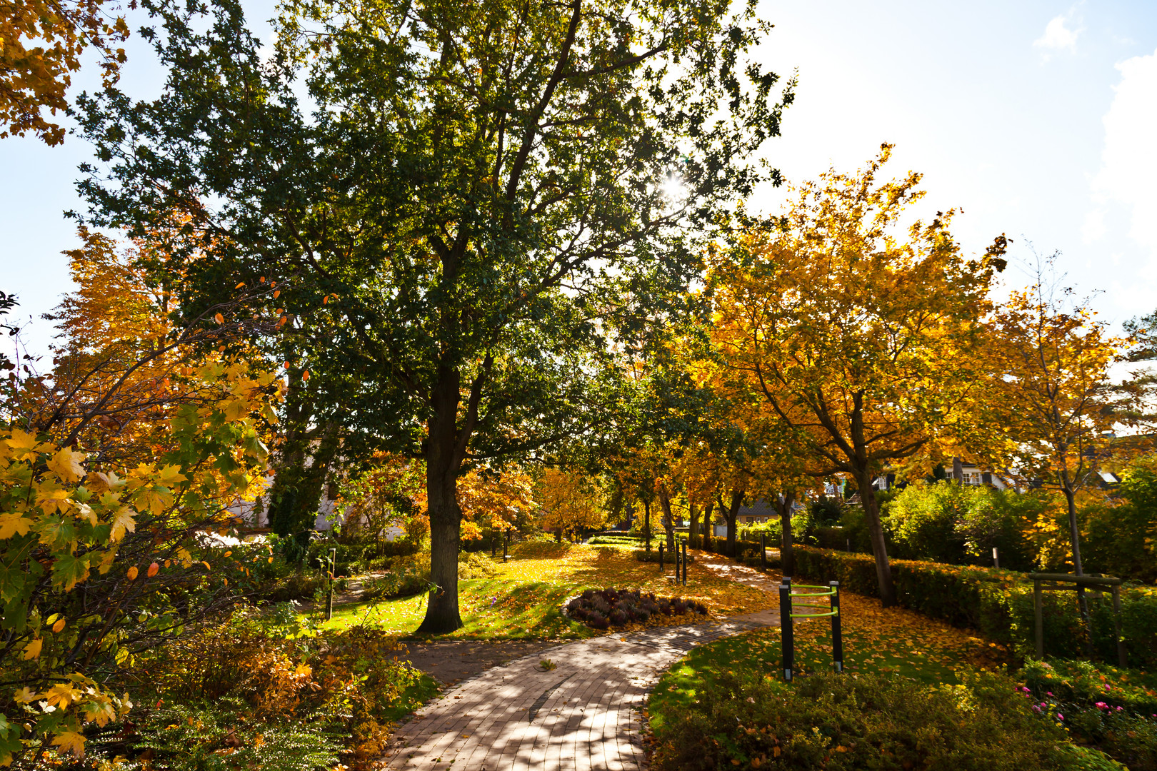 Herbstimpressionen Im Park 3