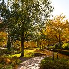 Herbstimpressionen Im Park 3