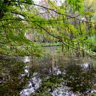 Herbstimpressionen in Angermund