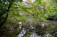 Herbstimpressionen in Angermund