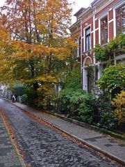 Herbstimpressionen in der Großstadt 2