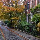 Herbstimpressionen in der Großstadt 2