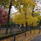 Herbstimpressionen in der Großstadt