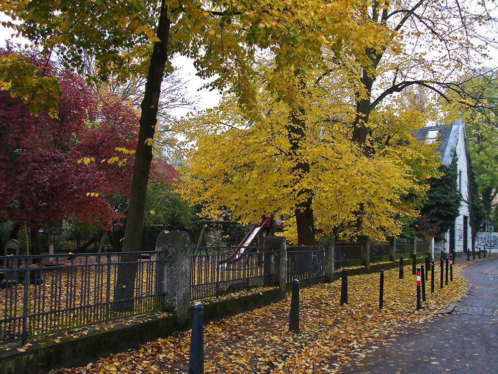 Herbstimpressionen in der Großstadt