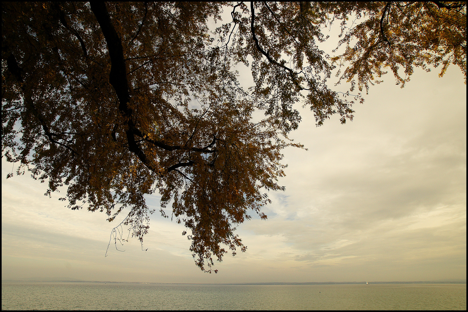 Herbstimpressionen in Farbe 4