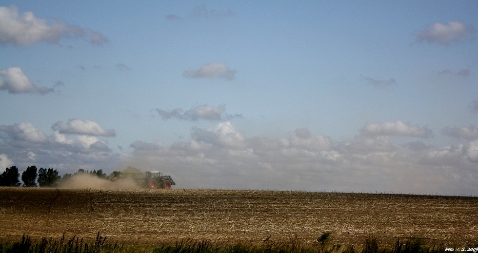 Herbstimpressionen in Mecklenburg