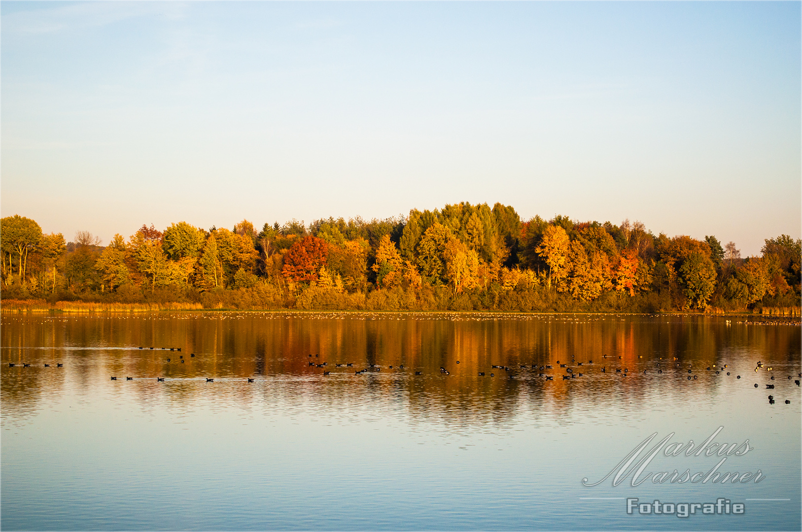 Herbstimpressionen in Moritzburg