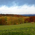 Herbstimpressionen in OWL 1