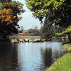 Herbstimpressionen in Wörlitz