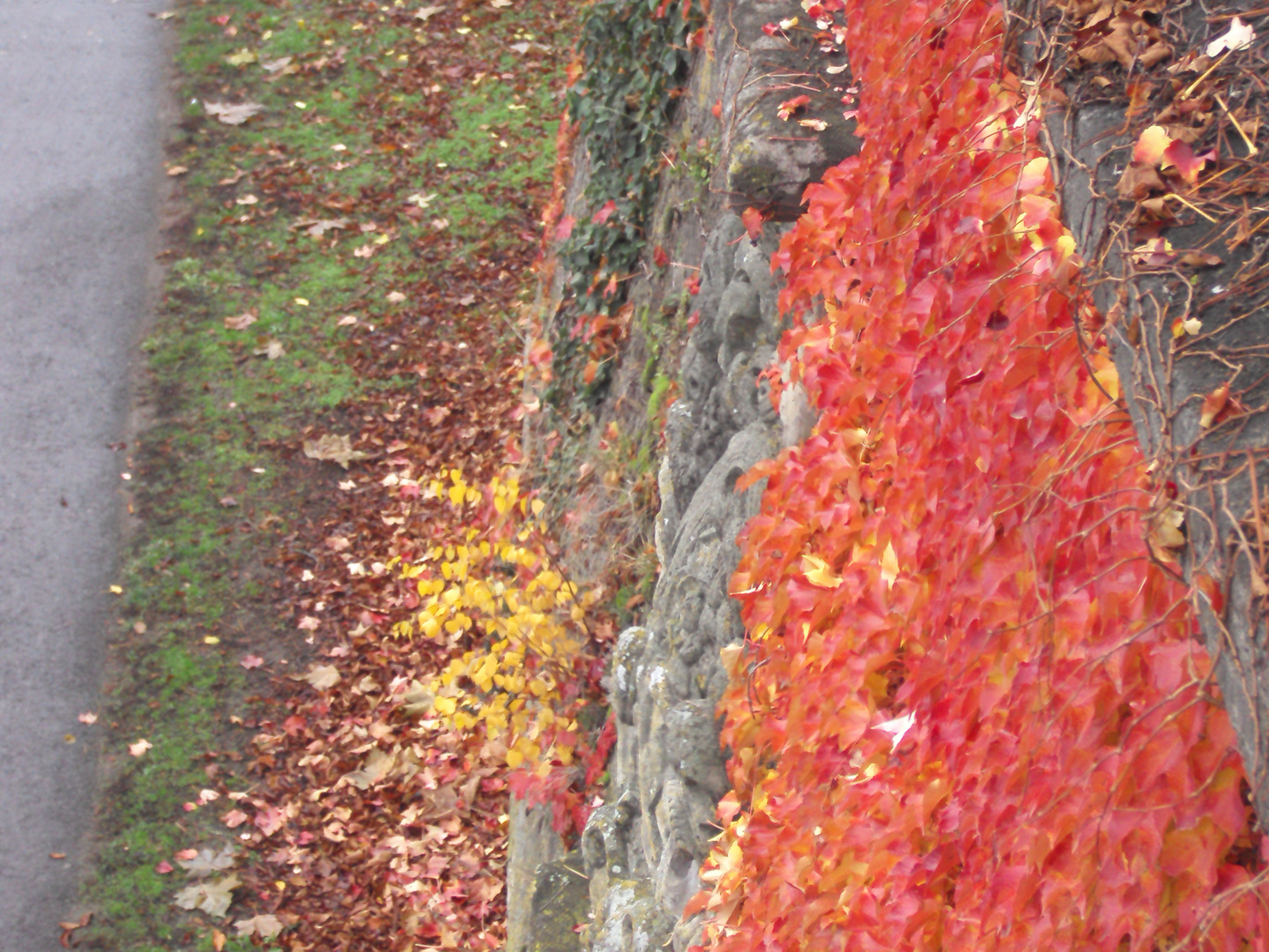 Herbstimpressionen in Würzburg