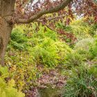 Herbstimpressionen IV - Berggarten/Hannover