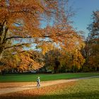Herbstimpressionen Kurpark Bad Homburg