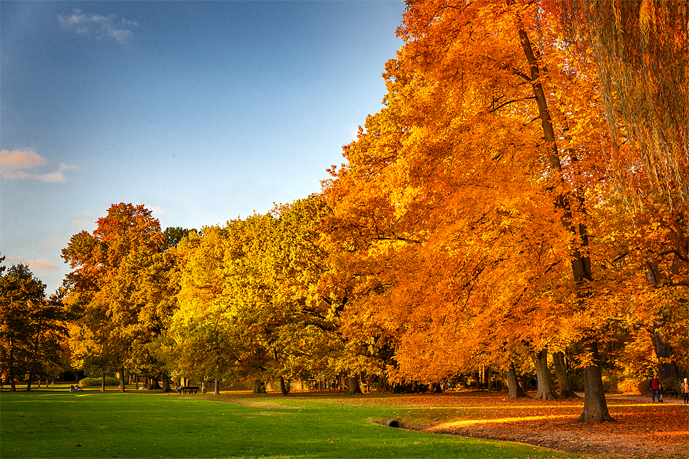 Herbstimpressionen Kurpark Bad Homburg