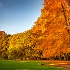 Herbstimpressionen Kurpark Bad Homburg