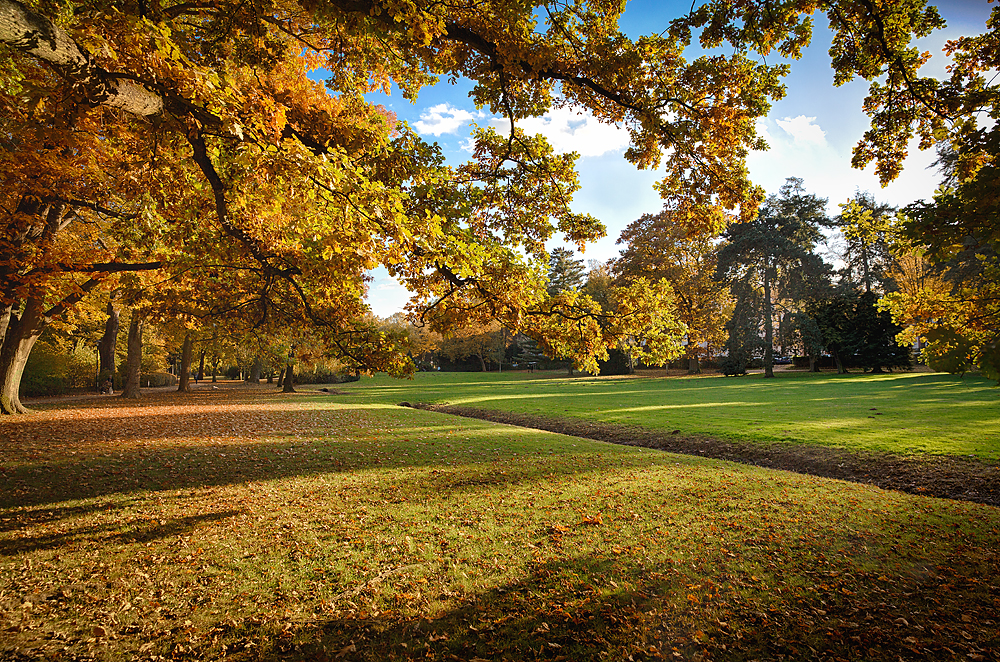 Herbstimpressionen Kurpark Bad Homburg