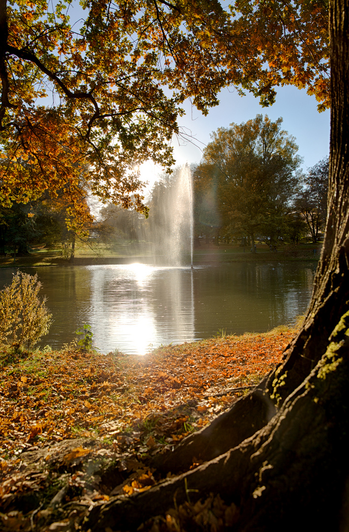 Herbstimpressionen Kurpark Bad Homburg